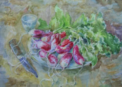 Radishes. 2000. Watercolour on paper. 41 x 30 cm.