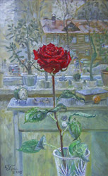 Rose am Fenster. 2005. Öl auf Leinwand. 34 x 54 cm.