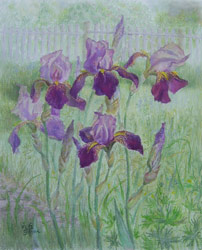 Irises. 2006. Pastel on paper. 41 x 50 cm. Private collection.