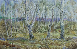 Birches. Springtime. 2000. Watercolour on paper. 37 x 25 cm.