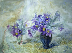 Pasque flowers. 2004. Watercolour on paper. 37 x 27 cm.